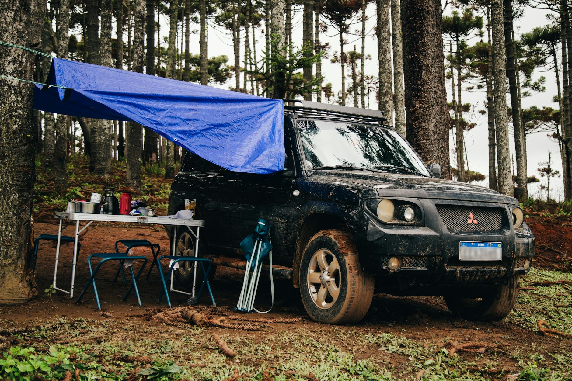 Cat3 Suv Foret